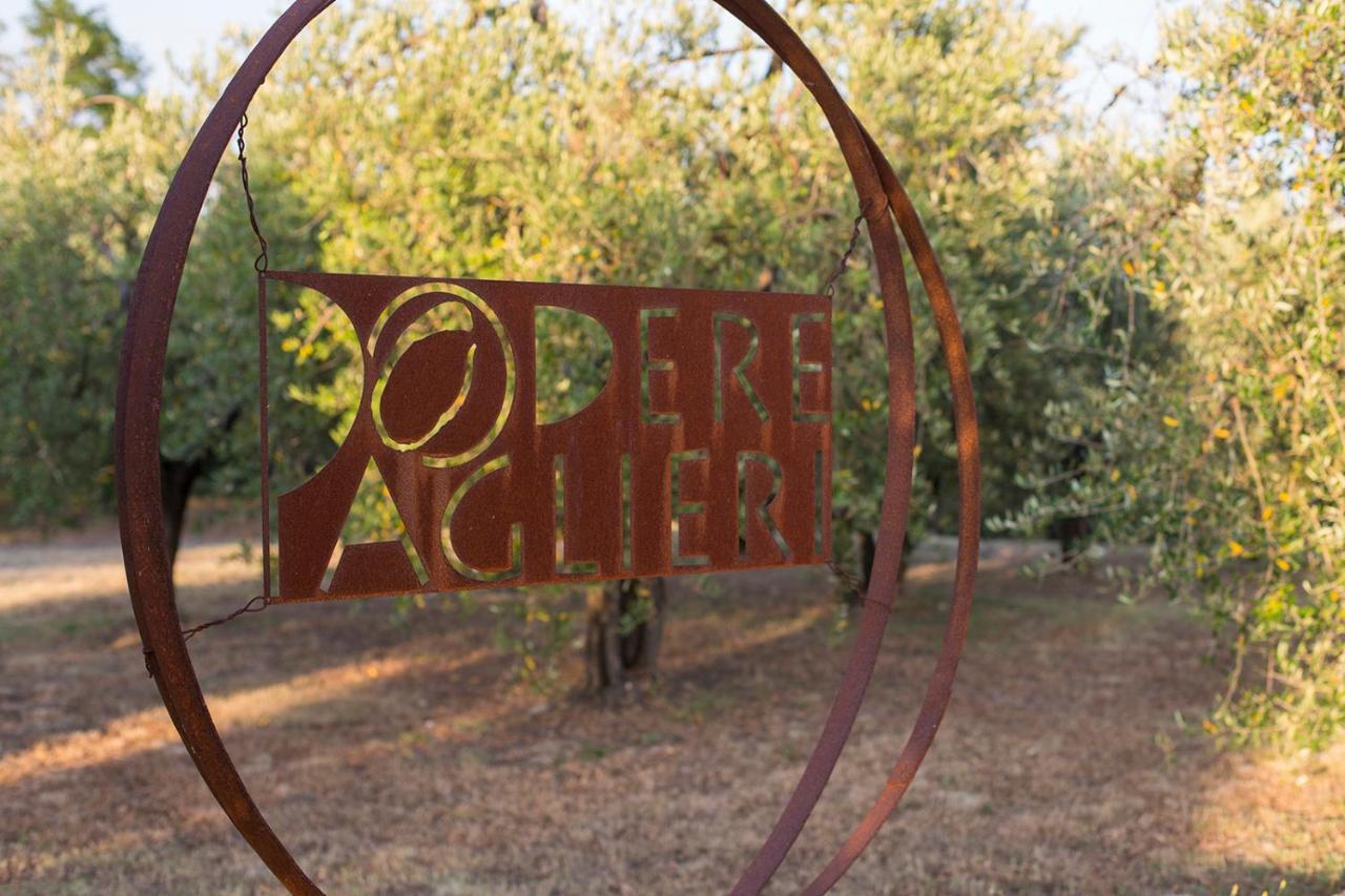 Podere Paglieri Apartments Montespertoli Εξωτερικό φωτογραφία